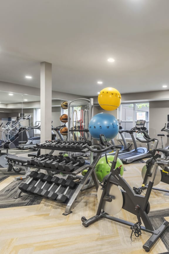 Fitness Center at Avant at the Arboretum, Illinois 60532