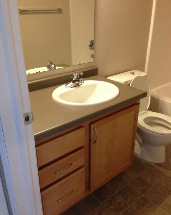 a bathroom with a sink toilet and bathtub