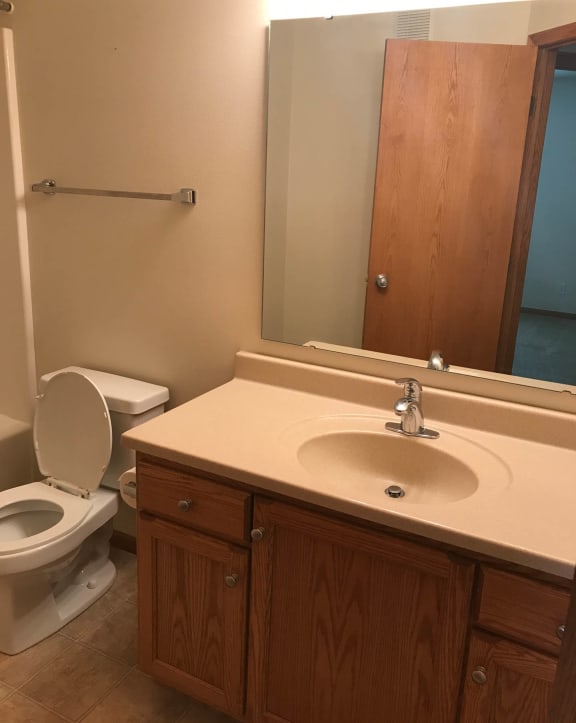 a bathroom with a sink and a toilet