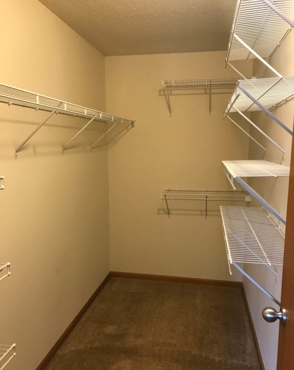 a walk in closet in a 555 waverly unit