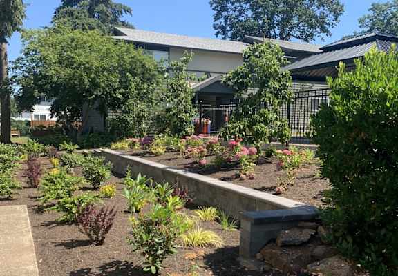 A garden with a bench and a building in the background.