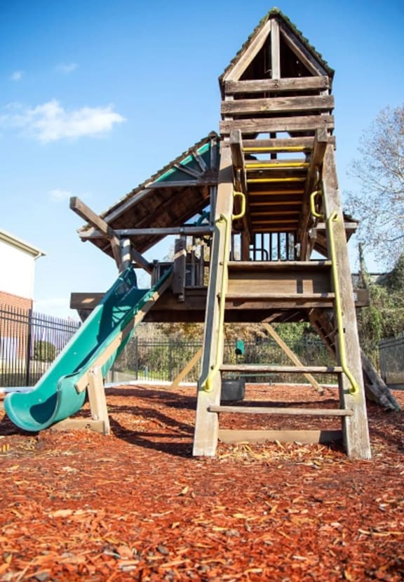 a wooden playset with a slide and monkey bars