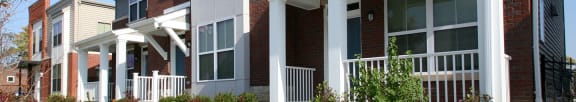 Long picture of flowers, Beecher Terrace Apartments, Louisville, KY