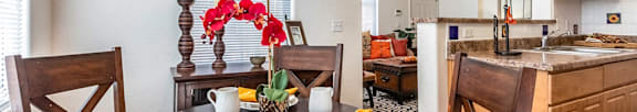 Long picture of flowers, Beecher Terrace Apartments, Louisville, KY