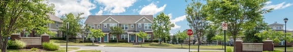 Long picture of flowers, Beecher Terrace Apartments, Louisville, KY