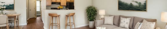 Long picture of flowers, Beecher Terrace Apartments, Louisville, KY