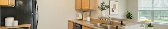 Long picture of flowers, Beecher Terrace Apartments, Louisville, KY