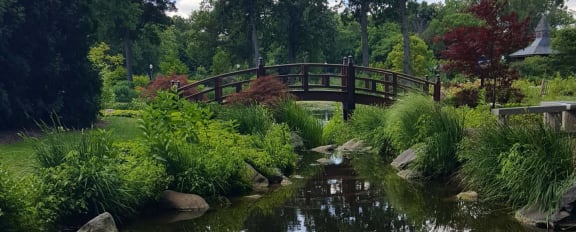 a wooden bridge over a stream in a park