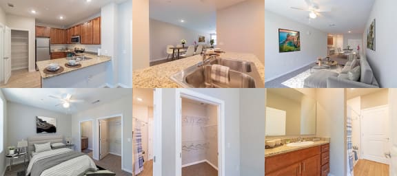 Amelia Court Penthouse Suites