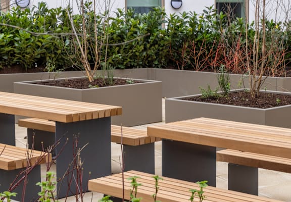 A set of wooden benches are arranged in a row in front of grey planters.