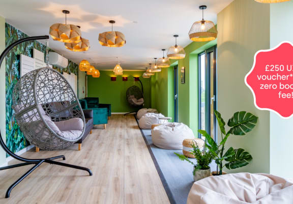 a living room with a hammock chair and a room with green walls