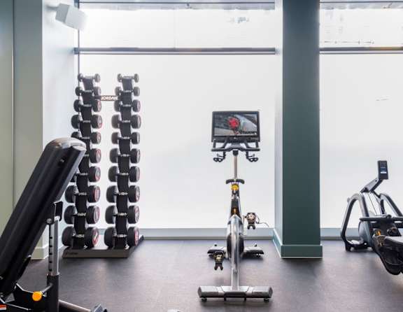 A gym with a treadmill, weights, and exercise equipment.