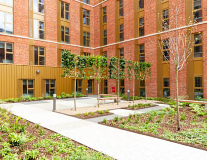 A courtyard with a walkway and a tree in the middle.