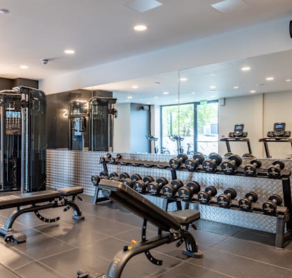 A gym with a bench, weights, and mirrors.