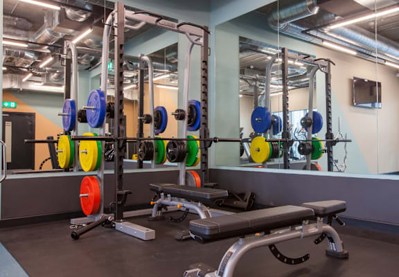 A gym with a bench, weights, and mirrors.