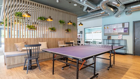 A ping pong table is in the middle of a room with a wooden floor and a wall with plants hanging on it.