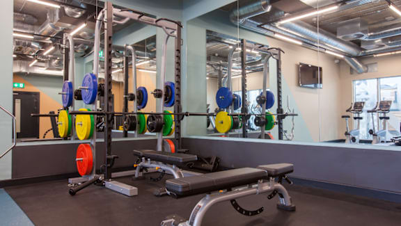 A gym with a bench, weights, and mirrors.