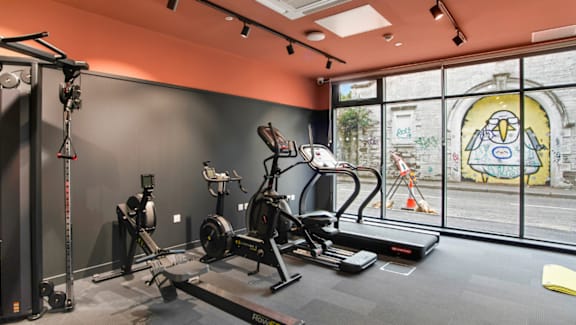 A gym with a treadmill, weights and exercise equipment.