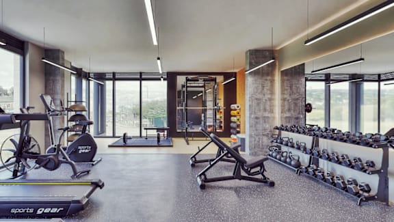 A gym with a treadmill, weights and exercise equipment.