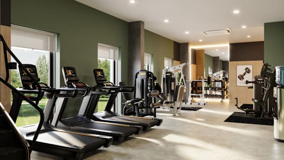 A gym with treadmills, weights, and exercise equipment.