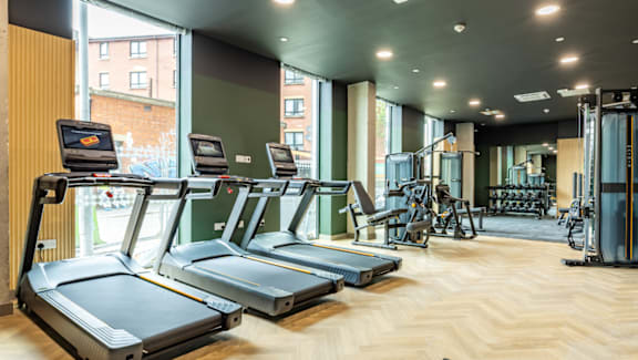 A gym with treadmills, weights, and exercise equipment.