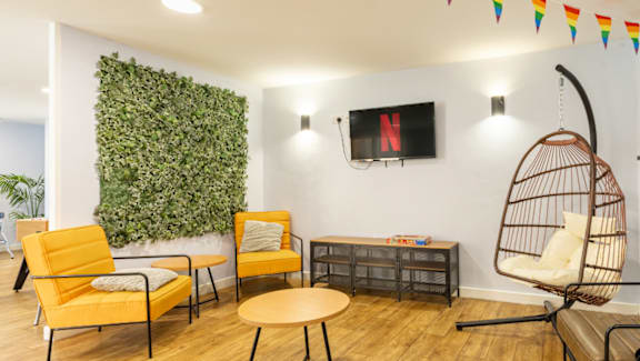 A living wall with a TV and a hanging chair.