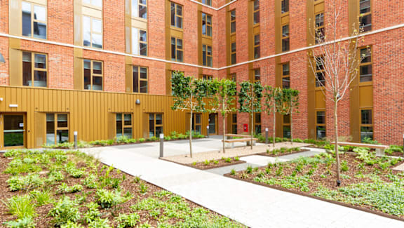 A courtyard with a walkway and a tree in the middle.