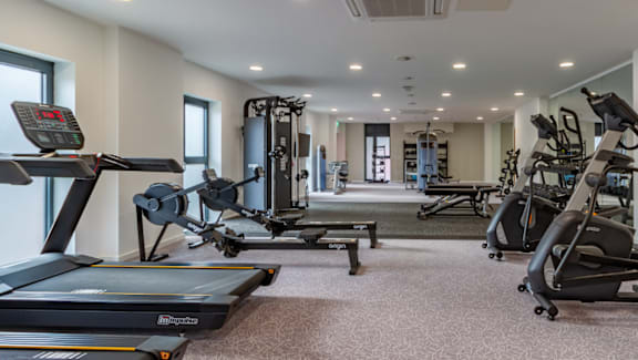 A gym with treadmills, weights and other exercise equipment.