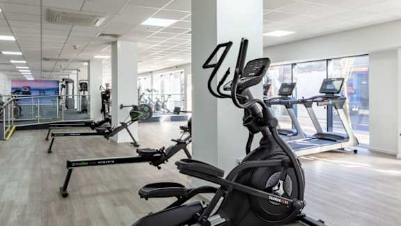 A gym with a row of treadmills and elliptical machines.