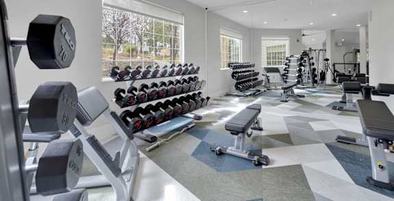 A gym with a variety of equipment including dumbbells, weight plates, and benches.