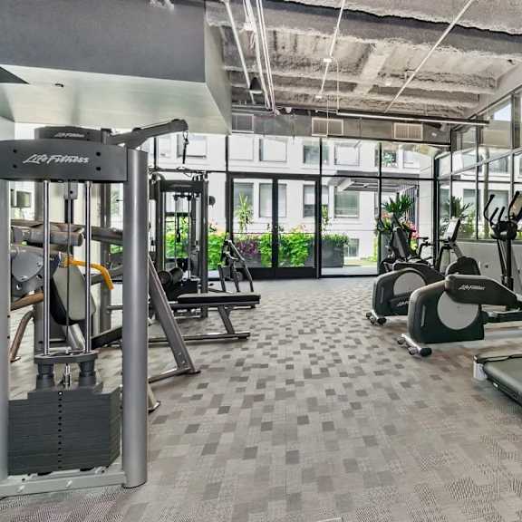 A gym with treadmills, elliptical machines, and other cardio equipment.