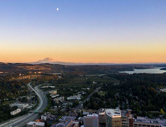 A cityscape with a prominent mountain in the background.