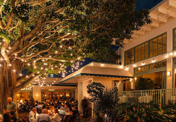 A group of people are sitting at tables under a tree with lights strung from it.