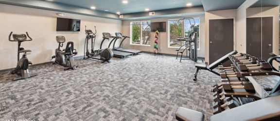 the gym has plenty of cardio equipment and treadmills