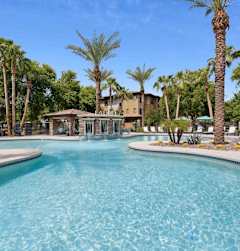 A large swimming pool surrounded by palm trees and lounge chairs.