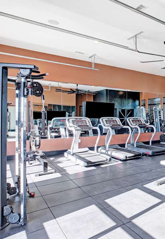 a gym with a lot of workout equipment and windows