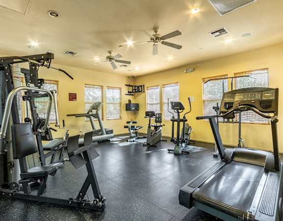 a row of treadmills in a gym with a large amount of windows and other gym equipment