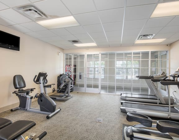 a row of treadmills in a gym with a large amount of windows and other gym equipment