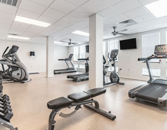 a row of treadmills in a gym with a large amount of windows and other gym equipment