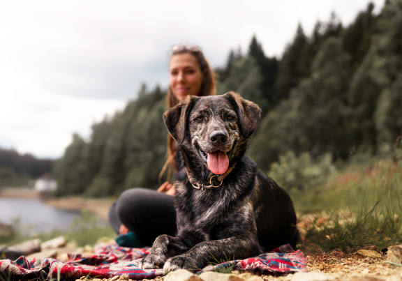 Pet friendly apartment at Tustin Apartment Homes, Yelm