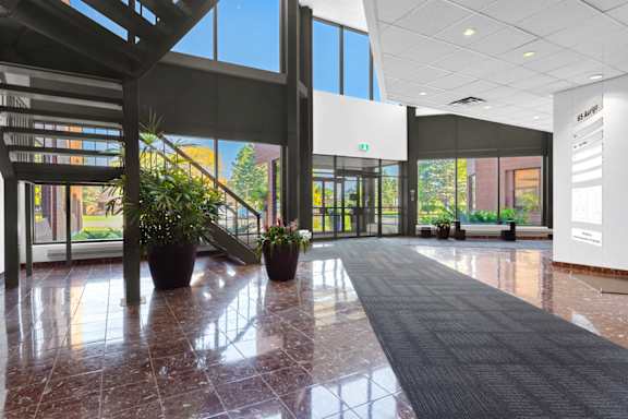 A hallway with a black carpet and a plant on the left side.