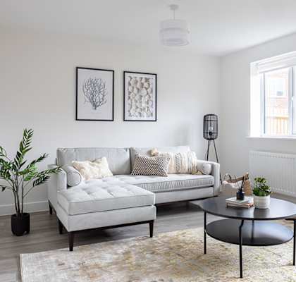 A living room with a grey couch, a black coffee table, and a potted plant.