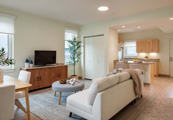 A living room with a couch, a chair, a table, a television, and a potted plant.