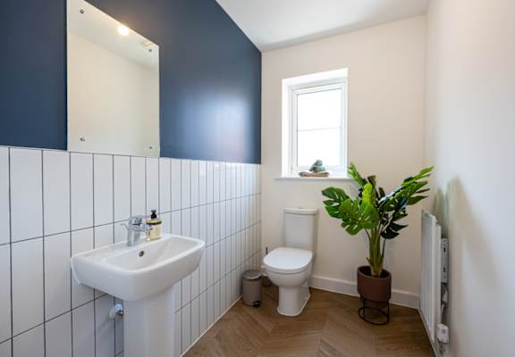A bathroom with a white sink, toilet, and a potted plant.