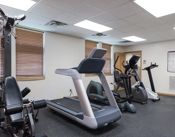 a row of treadmills in a gym with a large amount of windows and other gym equipment