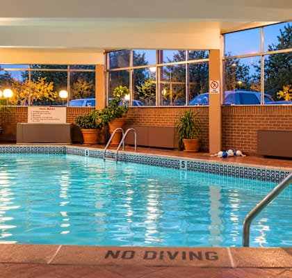 A pool with a no diving sign in the middle.