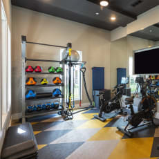 a spacious fitness room with weights and cardio equipment and a flat screen tv