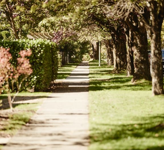 a couple walking down a sidewalk with trees