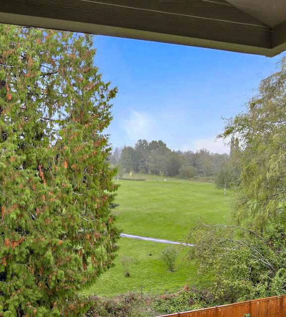 A view from a window of a green field and trees.
