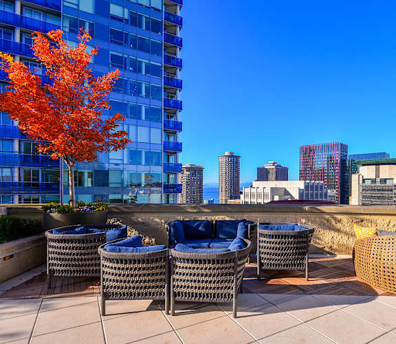 A patio with blue chairs and a tree with orange leaves.